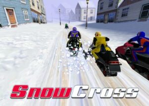 Snow Cross